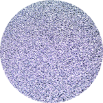 osmium institut app facts osmium